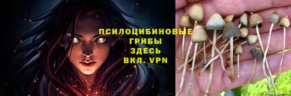 крисы Аркадак