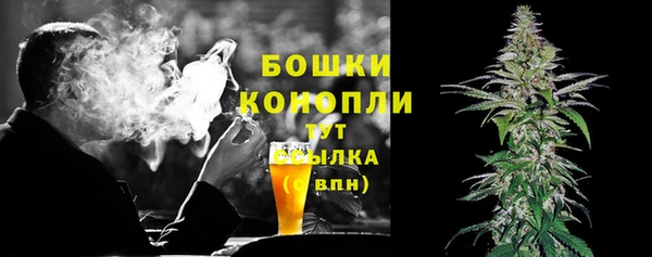 крисы Аркадак