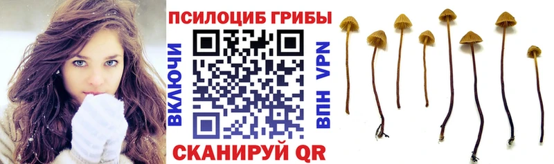 сайты даркнета как зайти  сколько стоит  Ртищево  Галлюциногенные грибы Magic Shrooms 